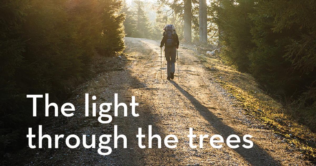 Hiker walking in light shining through woods